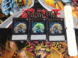 Number 56: Gold Rat WJMP 1 Ultra, set of 3 tera