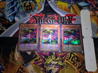Y-Dragon Head 302 3 Ultra Parallel Set of 3 Tera