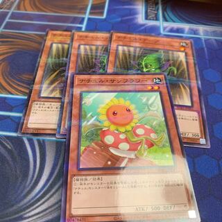 ナチュル・ナーブ パラレル ノーマル JP061 他 1枚