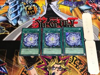 Rose Bud PP10 2 Secret Set of 3 Tera