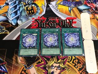 Rose Bud PP10 3 Secret 3-Piece Set Tera