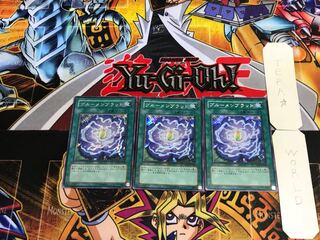 Rose Bud PP10 4 Secret 3-Piece Set Tera