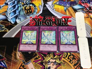 反射光子流 PP14 1 シークレット 3枚セット てら