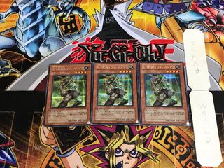 E・HERO フォレストマン PP10 2 シークレット 3枚セット てら