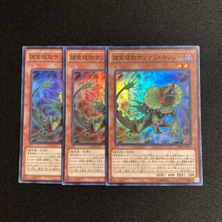 r137 Predaplant Chlamydosundew Super Rare Set of 3 Yu-Gi-Oh!