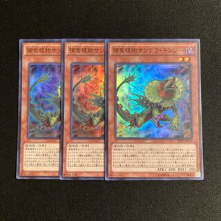 r138 Predaplant Chlamydosundew Super Rare Set of 3 Yu-Gi-Oh!