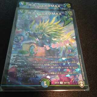 Wave Gain! Wave MAX R-foil 34/110