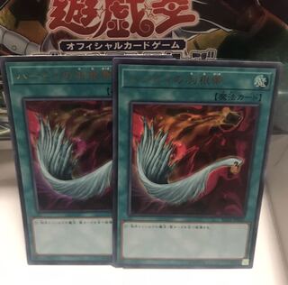 ハーピィの羽根帚 ウルトラ 2枚