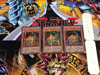 Lion Alligator PP12 5 Secret 3-card set Tera