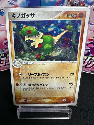 Breloom 047/082