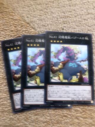 Number 41: Bagooska the Terribly Tired Tapir Normal JP044