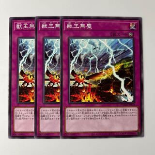 10205 獣王無塵 ノーマル JP078