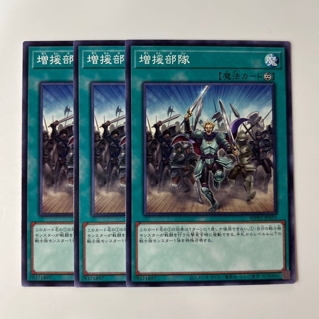 10213 Reinforcement of the Army's Troops $6291