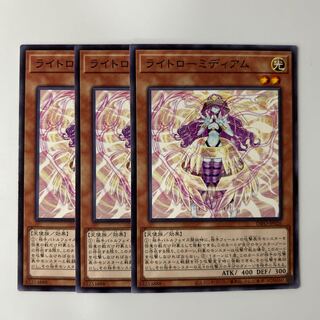 10223 ライトローミディアム ノーマル JP026