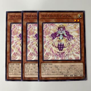 10225 ライトローミディアム ノーマル JP026