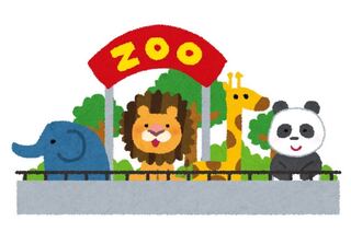 【めるらちゃん♡様】専用出品