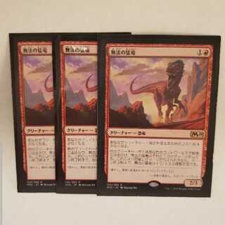 Marauding Raptor 3-piece set