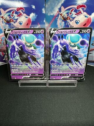 Dedicated to Mr. Marcy Kokuba Budrex V TD 203/414