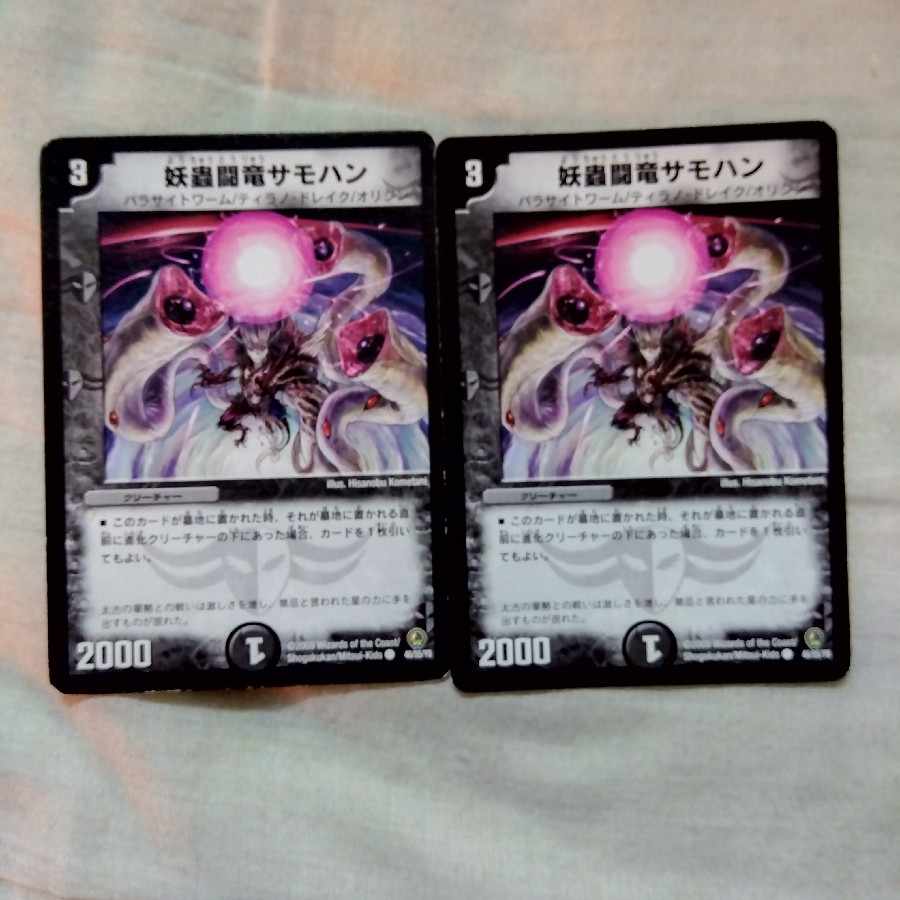 Spectacular Fighting Dragon Samohan C 46/55/Y8 2 pieces