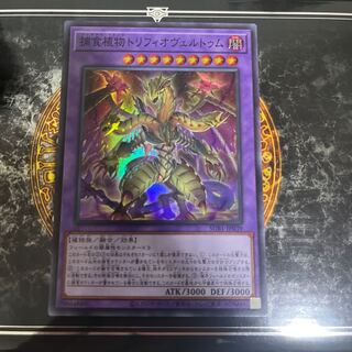 Predaplant Triphyoverutum