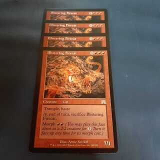 焦熱の火猫4枚 4枚