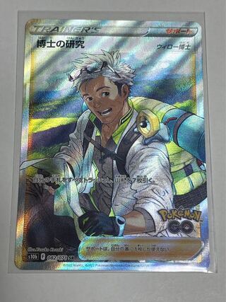 Professor's Research (Professor Magnolia) Dr. SR Willow