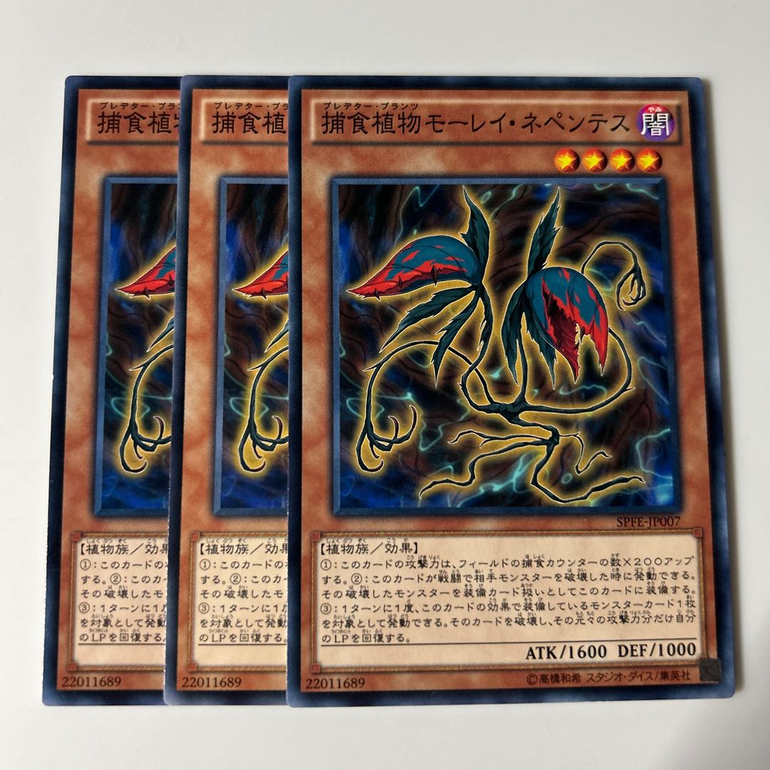 10291 Predaplant Moray Nepenthes $6395