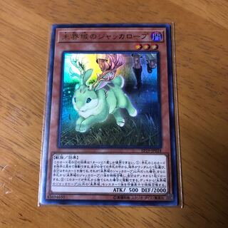 未界域のジャッカループ