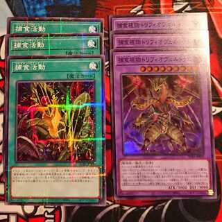 Predaplant Triphyoverutum Super Rare JP039 SECRET UTILITY BOX Predapractice 3 each