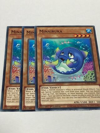 Minairuka English EU version 3 copies