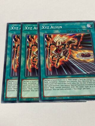 Xyz Align English EU version 3 copies