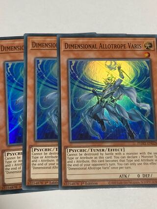 Dimensional Dissimilarity Va Squirrel English EU edition 3 copies