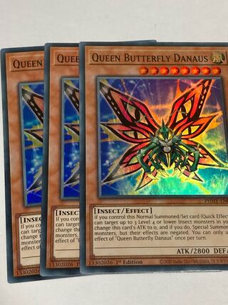 Queen Bata Fly Danaus English EU edition 3 copies