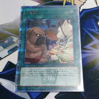 【美品】犬賞金　20thシークレット