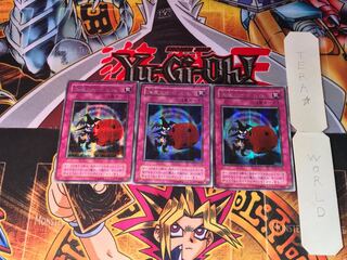 Skull Dice G5 2nd period ver 2 Secret 3-card set Tera