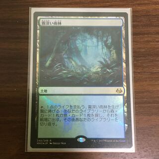 霧深い雨林　foil