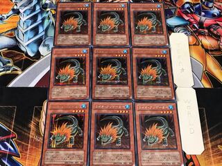 Lion Alligator PP12 1 Secret 9-card set Tera