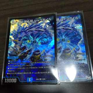 水上第九院 シャコガイル