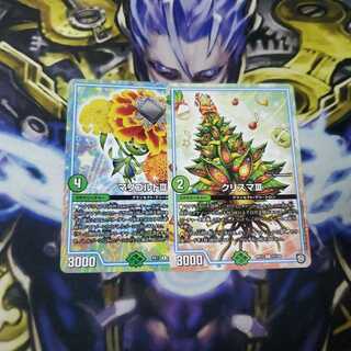 マリゴルド　クリスマ