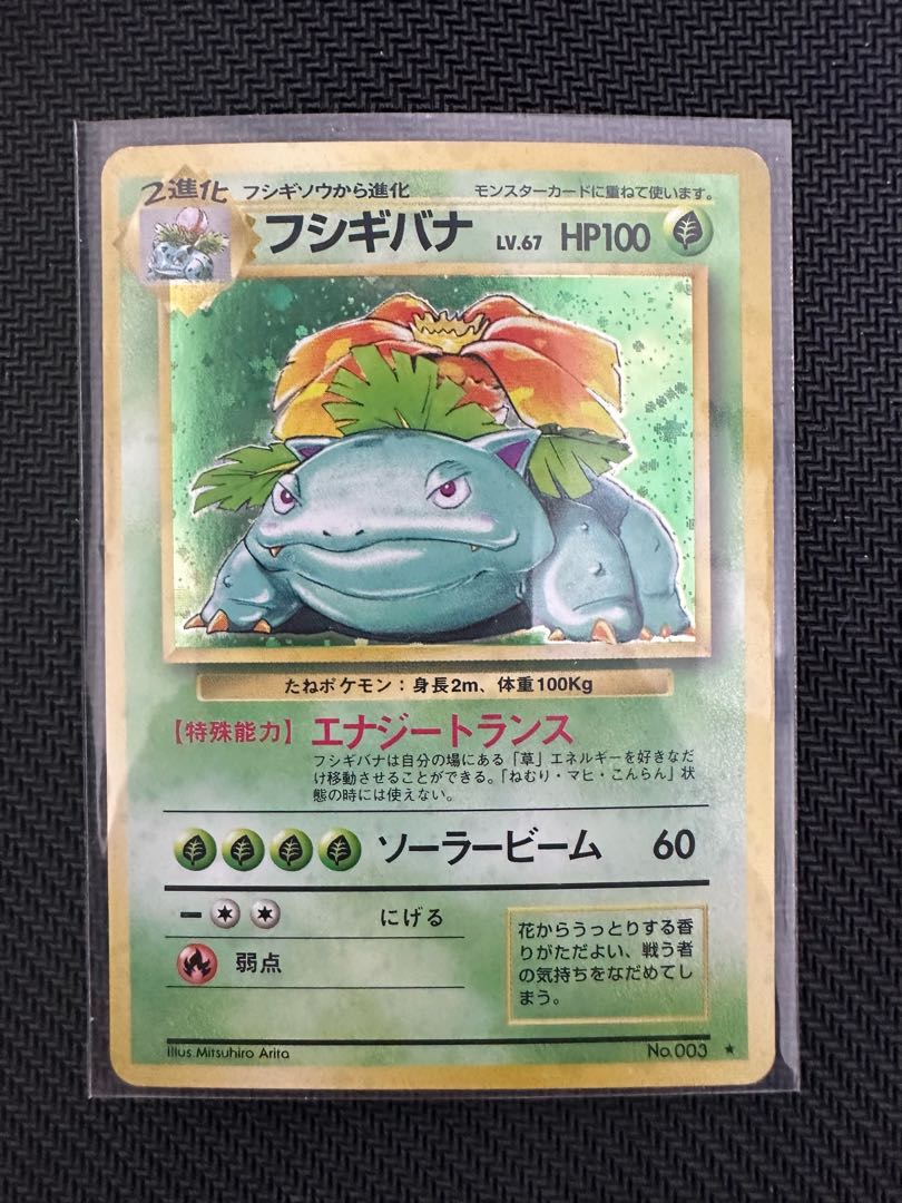 Venusaur Old Back