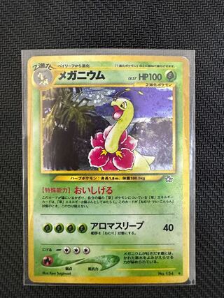 旧裏 メガニウム」の激安通販 | magi