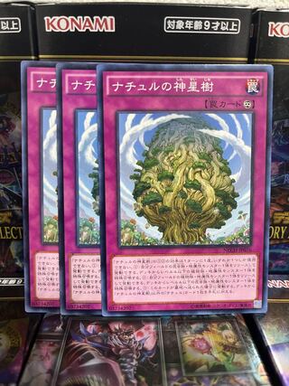 Yu-Gi-Oh Studio 2454 Naturia Sacred Tree Normal JP076