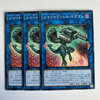 10337 Miniborrel Dragon Normal JP040