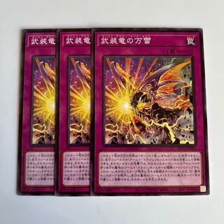 武装竜の万雷 $6469