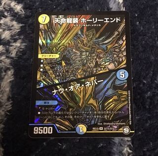 天命龍装ホーリーエンド/ナウ・オア・ネバー(シク)