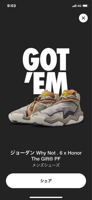 Honor the Gift x Nike Jordan Wynot.6 PF "Moon Fossil" Pecan/Yellow Fossil/Moon Fossil DX1693-001 27cm