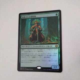 MTG Venerated Rotpriest FOIL Japanese