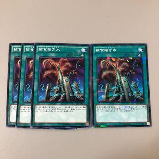 Predapruning Normal JP012