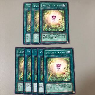 Fragrance Storm Normal JP058