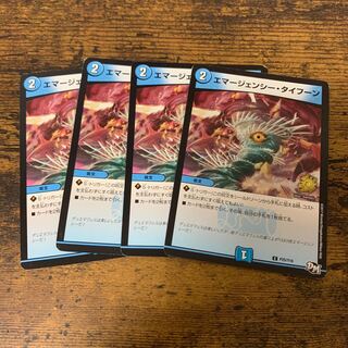 エマージェンシー・タイフーン